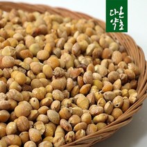 다온약초 국산 말린은행 은행나무열매, 1개, 300g