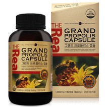 프로플리스 항산화 비타민E 면역력 프로폴리스캡슐