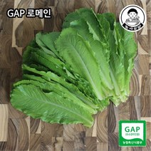 [용천유기농로메인] [농사임당] GAP 로메인 샐러드 야채 쌈채소 500g/1kg, 500g