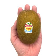 달지예다네뉴질랜드 제스프리 골드키위 2.8kg (과당 140g 내외)원산지: 상세설명참조