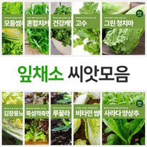모둠쌈채 쌈추 상추 치커리 건강케일 개똥쑥 경수채 곤드레 루꼴라등 잎채소 쌈채소 모음, 권농빨강배추