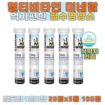 독일 물에타먹는 발포형 멀티비타민앤미네랄20정x5통 필수영양성분 13종 카페인NO 설탕NO