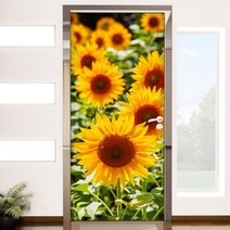 ij641-행복을주는해바라기밭_현관문시트지