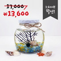 미니가든 [미니가든] 틴캡 마리모 DIY SET, 색돌6.빨강믹스