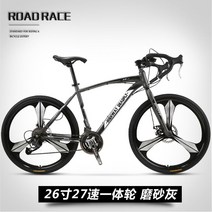 입문용로드자전거 24단 27단 로드바이크, 27단 - 프로스트 그레이