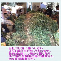 일본간식 년도산 신두