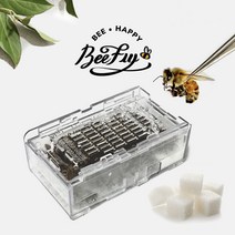 비플라이 건강한 꿀벌 벌침 벌침벌 봉침 봉침벌 벌침용벌+먹이 서비스, 1통, 100~120마리