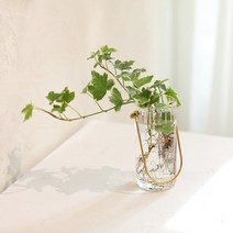 수경재배 아이비 골드 손잡이 화병 공기정화식물 플랜테리어, 1. 무늬 아이비 골드 손잡이 화병, 1개