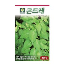 다농 곤드레(고려엉겅퀴)씨앗 100립, 상세 설명 참조