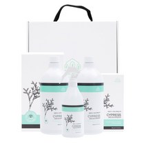 피톤치드 편백잎수액 탈취제 2L+380ml 선물세트, 1개