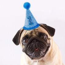 PET 고양이 강아지 생일 모자 파티 고깔 왕관, 01생일모자-고깔-핑크