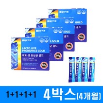 프로바이오틱스 락토핏 유산균 모음, 120포, 일양약품 락토 생 유산균 골드