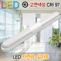 윤라이팅 19447 고연색성 LED 일자등 20W 자연광 조명 매장 교회 스튜디오 인쇄소 촬영 CRI97 KS 트윈등 스키등 등기구, 화이트(5700K)