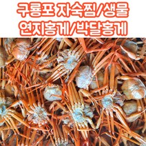 산지직송 당일조업 구룡포 연지홍게 박달홍게 자숙 생물 2kg 3kg 5kg, 실속형_연지홍게_자숙_3kg