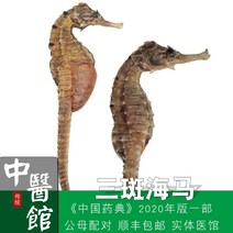 한약 해마 건조 제품 붓기 한방 담금주 건강식품, 20그램 총 6-9마리(세점 해마)