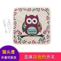 1인용 극세사 cushion 소형 온도조절 애견 의자 전기방석 44x44cm 양면 향균 전자파차단, [리놀부엉이2단 온도조절] 뜯어내기 45x45