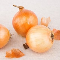 단단한 햇 무안 양파 10kg 특소, 1개