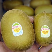 뉴질랜드 제스프리 골드 키위 수량