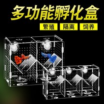다기능 부화 구피 사육 상자 어항 격리 그물 작은 치어 어미 새끼 분리 산란기 열대어 배, [20] 격리 상자 30X20X20cm 스트립 구멍이중