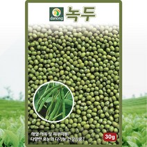 녹두 씨앗 녹두 콩 씨 종자 30g