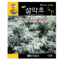 설악초 씨앗 꽃씨종자(30립) MK284