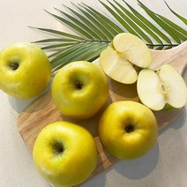 노란사과 황금사과 사과 시나노골드 정품사과 갈변덜한 사과, 정품 중소과 19~21과, 5kg