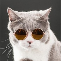 서후네 핵인싸 고양이 강아지 반려동물 선글라스 사진촬영 소품, 1개, 블루광