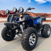 빅 불 해변 산악 비치 바이크 4륜 사륜 오토바이 오프로드 연료 150cc 200cc 성인 전기 전동 카트, A, 단일사이즈