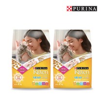 퓨리나 키튼차우 2kg_2팩_고양이 사료_리뉴얼