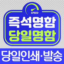 즉석명함 당일명함 소량명함/10장부터 인쇄/당일발송/당일 방문수령, 컨셉, 양면, 40장