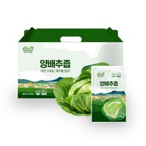 리얼제주 통째로 짠 양배추즙 30팩 x 2박스