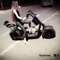 전기스쿠터 할리전기오토바이 배터리 리튬 이온, 빅 할리 표준 60V