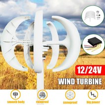 6000 w ac 12 v 24 v 풍력 터빈 발전기 랜턴 5 블레이드 모터 키트 홈 하이브리드 용 수직 축 가로등 전자기, 협동사, 24V, 4000W