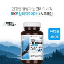 막힌 혈관 맑은 혈액 혈행 순환 유지 와 뻑뻑한 눈 건강 케어 한번에 관리 에 좋은 알티지 오메가3 루테인 복합 영양제, 2BOX(6개월분)