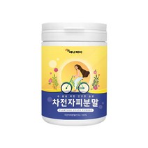 풍부한 식이섬유 차전자피 분말 100% 300g 플라보노이드 아미노산 무기질 섬유소, 1통, 1개