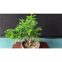 산내들농장 진산회(청짜보), 5개