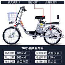 전기 자전거 전동 킥보드 배달 운동 패달 겸용 리튬 배터리 휴대용 남성 여성 알루미늄 합금, 주행500km6
