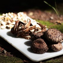 국산 건 표고버섯 통건조 슬라이스 사각칩 목이버섯 석이버섯, 2-2 건표고버섯 슬라이스 상품 100g