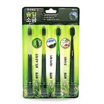 송천염 초극세사모 세균막 제거 솔잎 소금 함유 세정 양치 충치 은나노 금나노 어금니 이건강, 앵무 쿠팡 송천염칫솔4개입, 앵무 쿠팡 본상품선택
