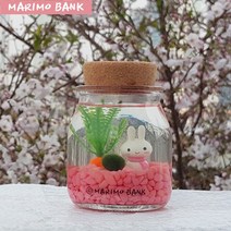 마린토끼 마리모 중(1cm) DIY세트, 그린