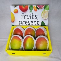 프리미엄 브라질 애플망고 선물세트, 2.5kg(5개~6개)