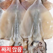 짠돌이쇼핑 선동 생물 손질오징어 반건조 피데기 정상품 파품오징어 1kg 바로잡은 오징어, 1세트, 생물 손질 오징어 1kg내외(7~9미)