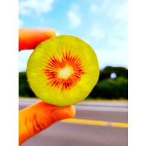 레드키위 3kg 40개내외 제주레드키위 천혜향 노지감귤 조생귤, 상세페이지 참조, 상세페이지 참조