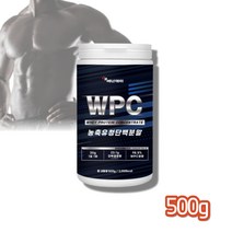WPC단백질 고단백음료 무맛 운동중 프로틴 헬스 보충제 500g