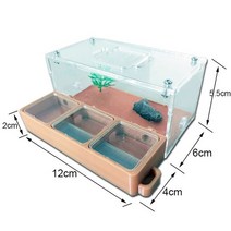 개미 관찰하기 개미집 관찰 앤트 하우스(대) 키우기 터널 여왕개미 키트 빌 3d concrete flat ant farm 생태 둥지 with drinker pet anthill, b