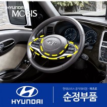 포터2 순정 크루즈 컨트롤 DIY 튜닝 부품 세트