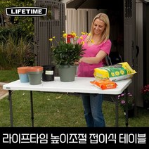 라이프타임 테이블 4인용 접이식 높이조절가능 122cm 피크닉테이블 코스트코 야외테이블