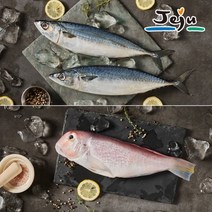 제주 옥돔 고등어 혼합 선물세트(옥돔 5마리 고등어살 5팩), 단품
