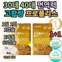 몸 속 염증 제거 영양제 프로폴리스 항산화 염증에좋은 판토텐산 아연 비타민d 프로폴리스 추출물, 2개월분, 2개