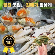 국산활꽃게2kg TOP 가격비교
